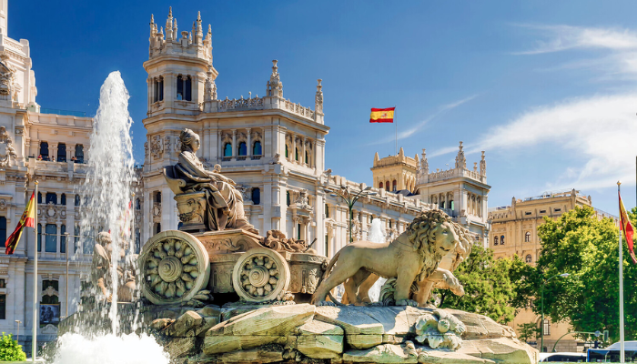 Cuanto cuesta una agencia Ia en Madrid